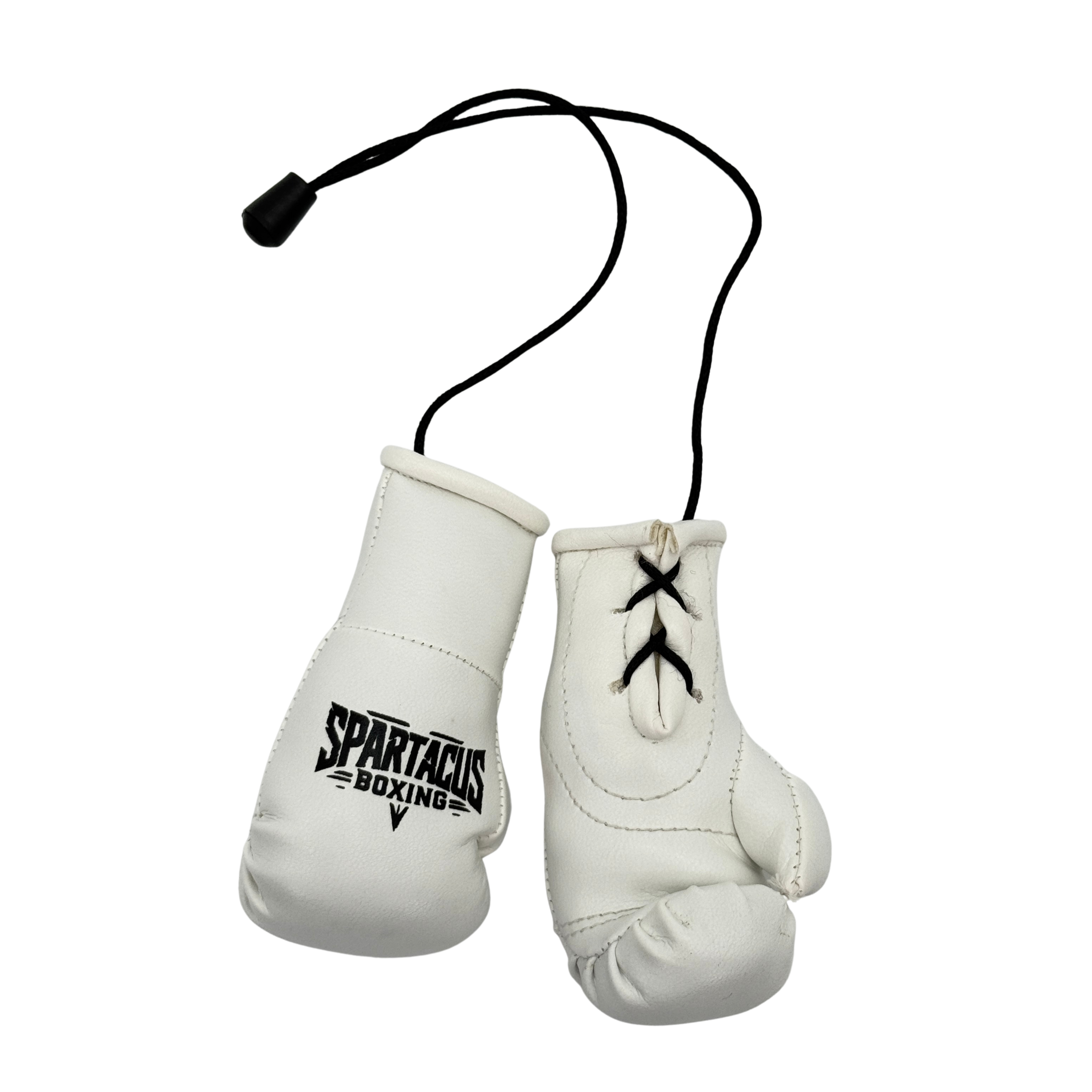 Hanging Mini Boxing Gloves – Spartacus Boxing