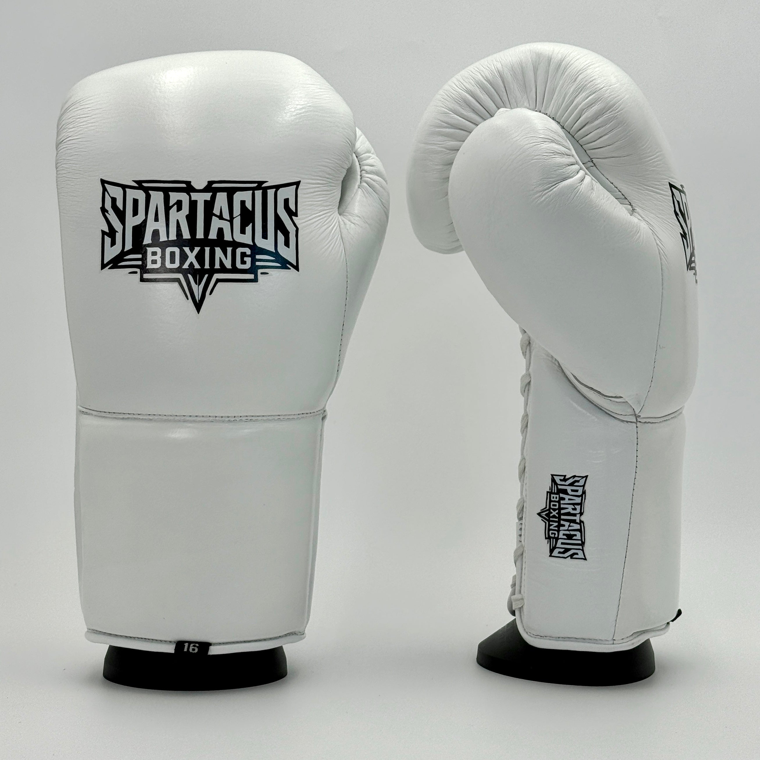 Sparring Gloves