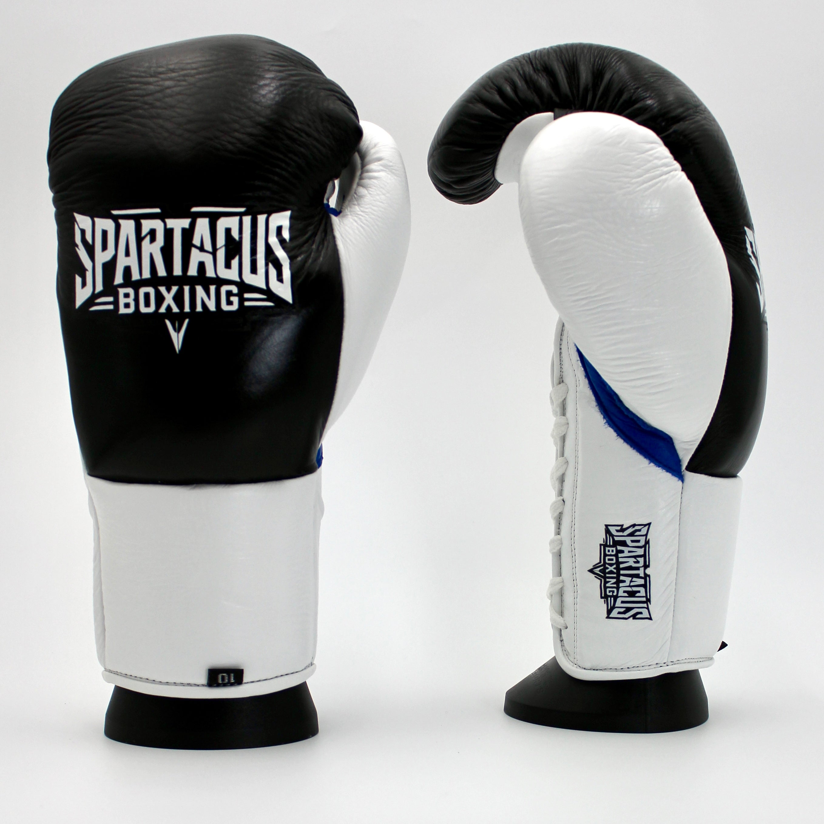 Spartacus Boxing
