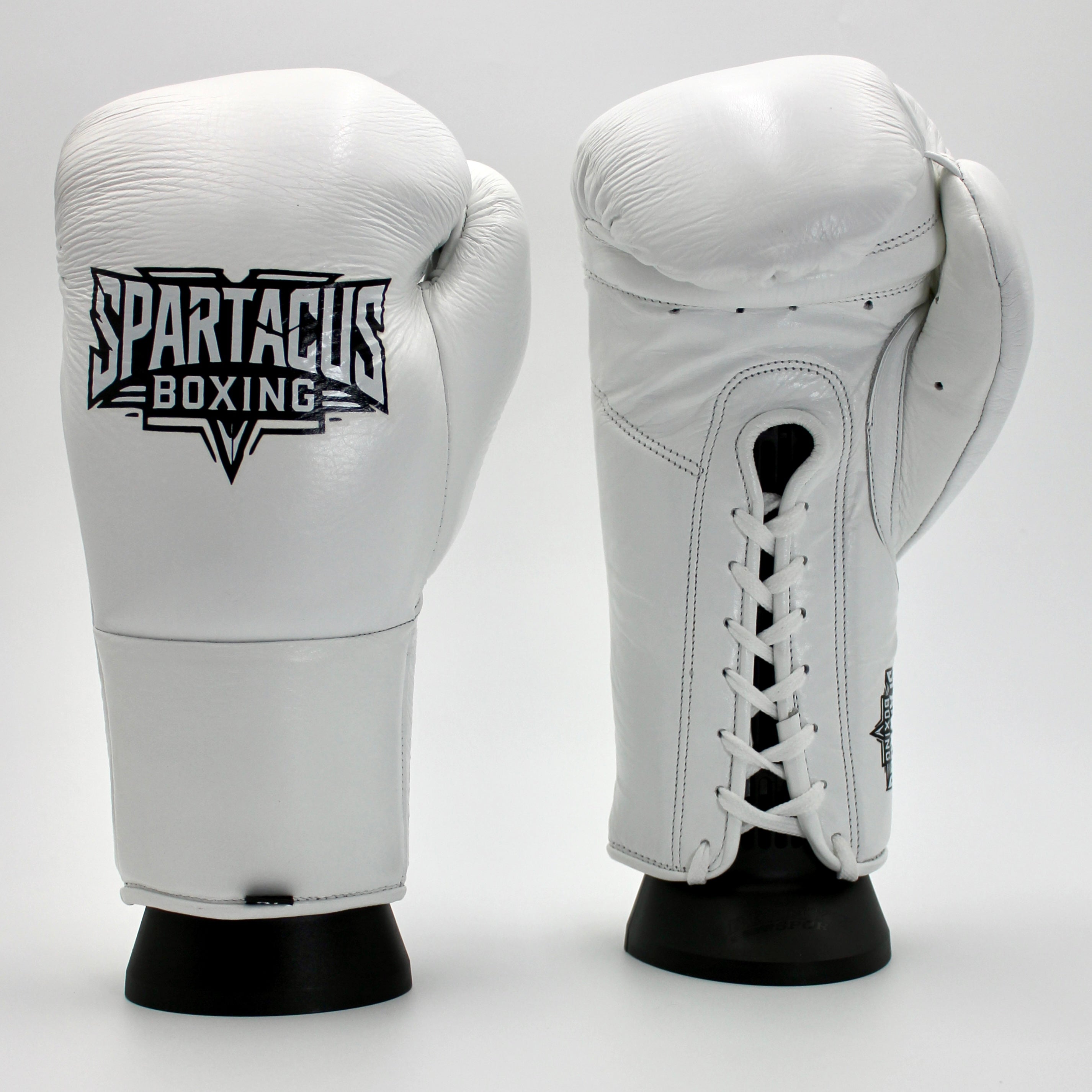 Spartacus Boxing