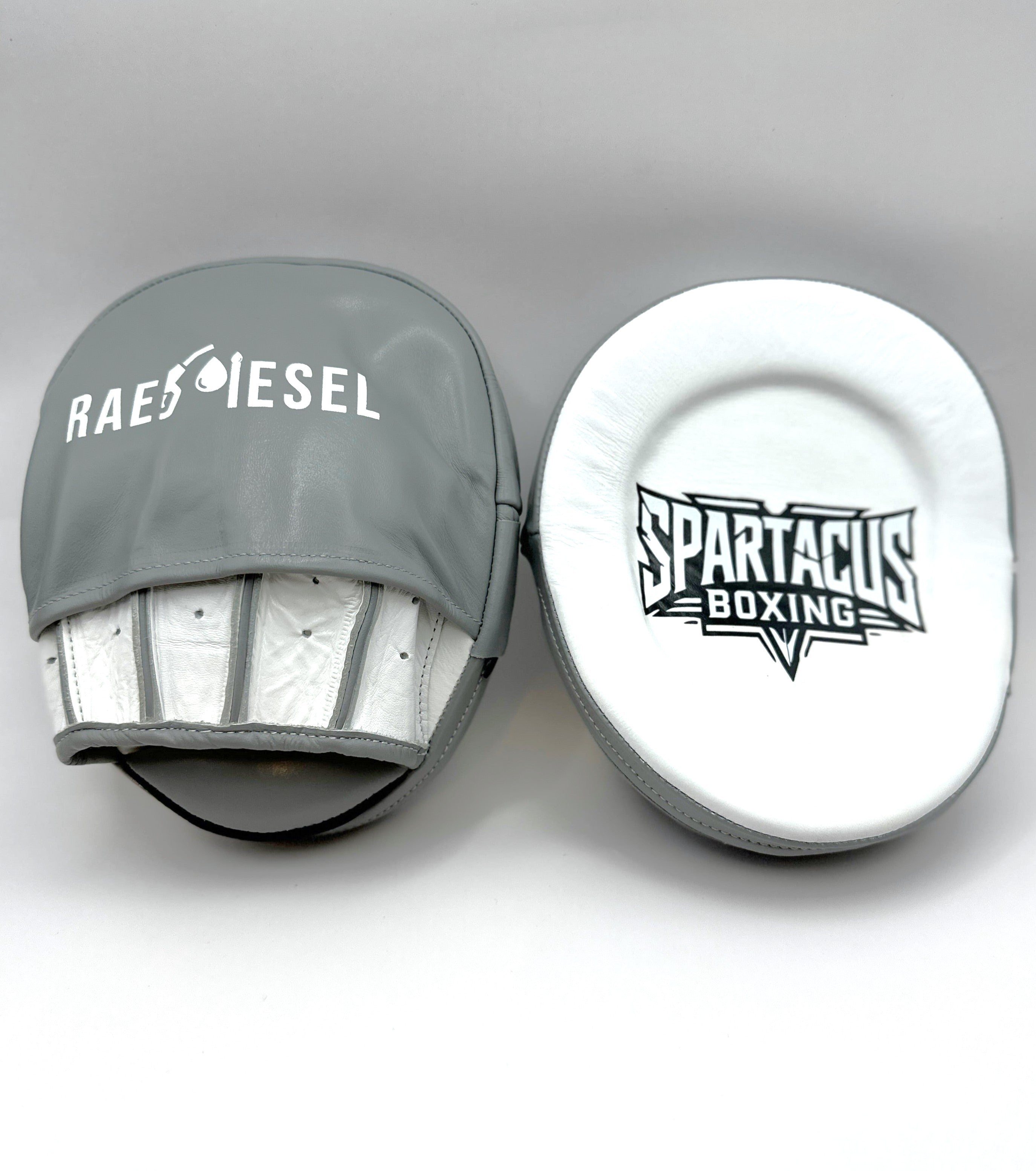 Spartacus Boxing