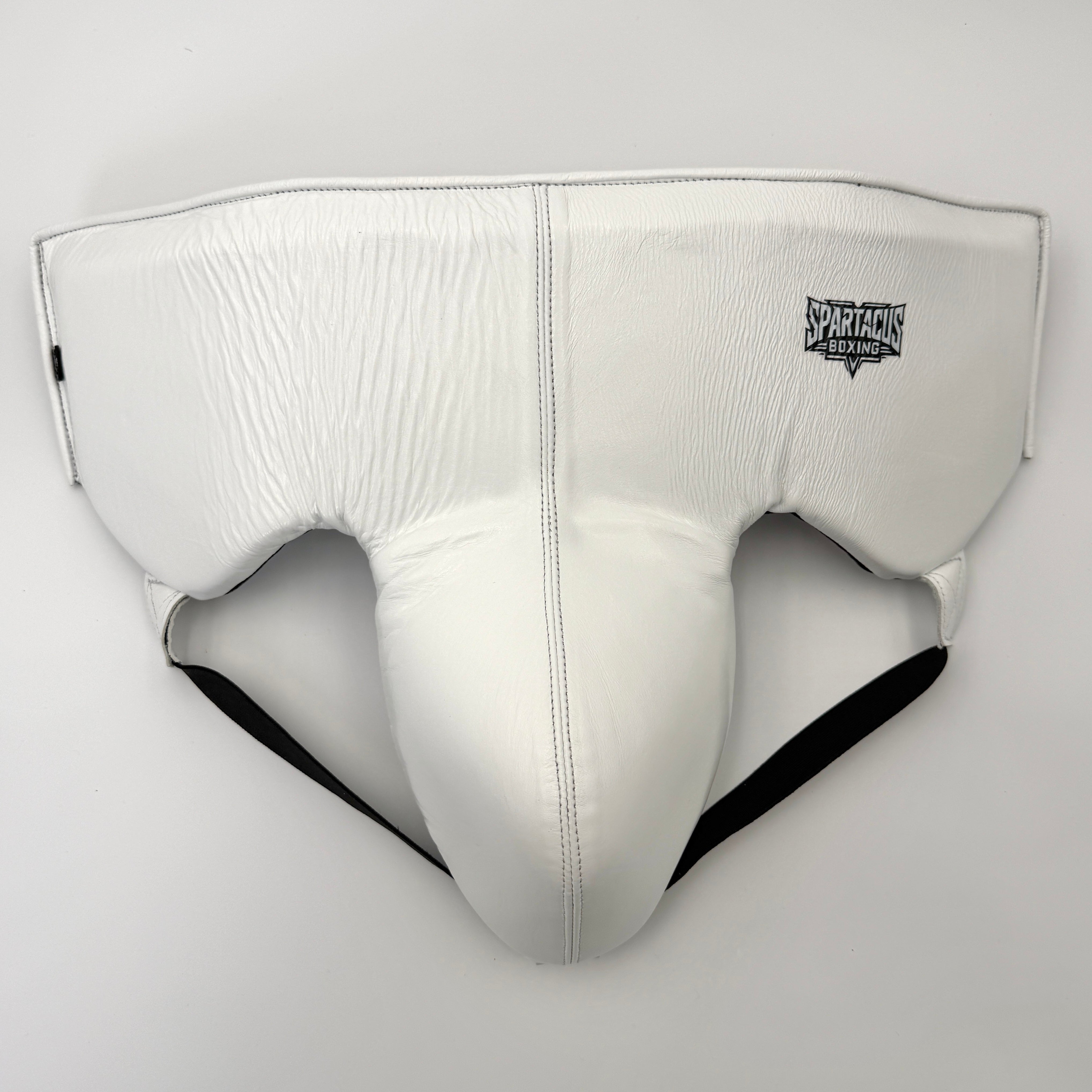 Spartacus Boxing