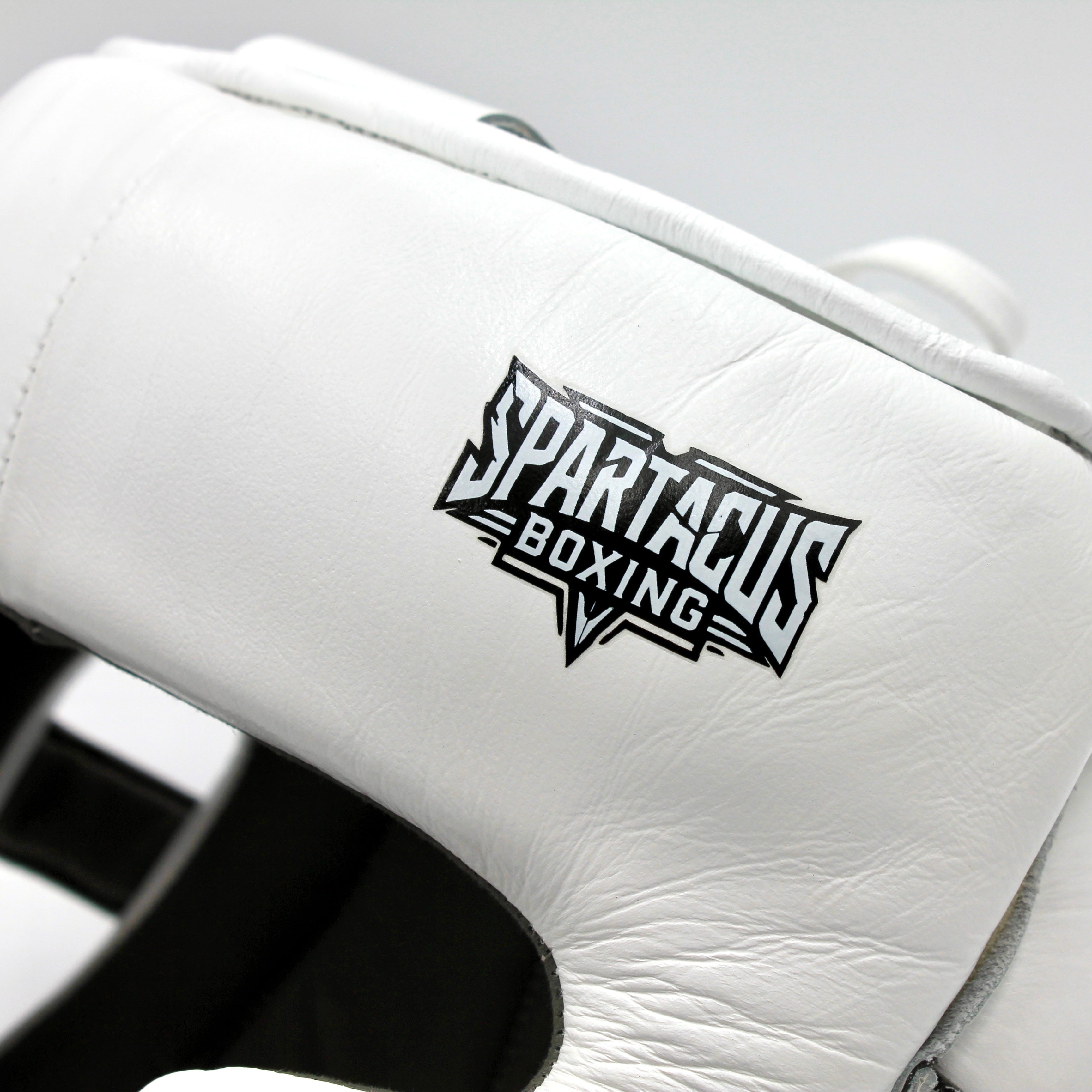 Spartacus Boxing