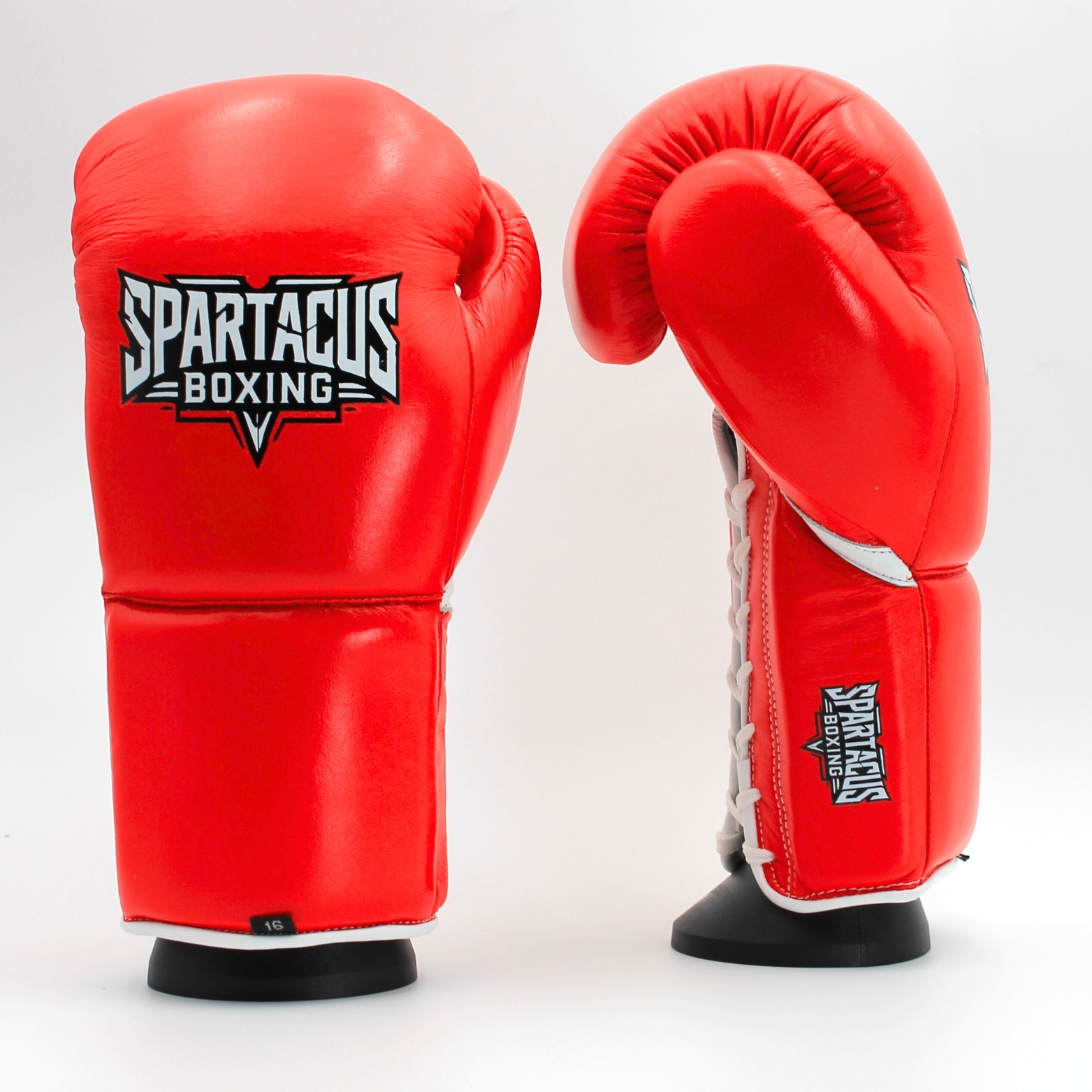 Spartacus Boxing